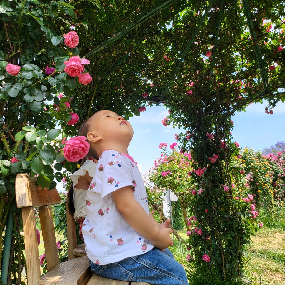 一生热爱💋回头太难