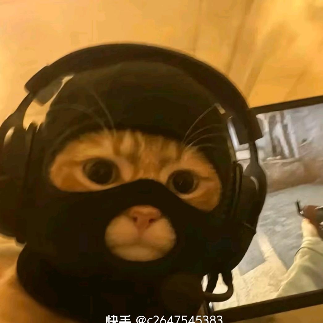 爱造船的猪