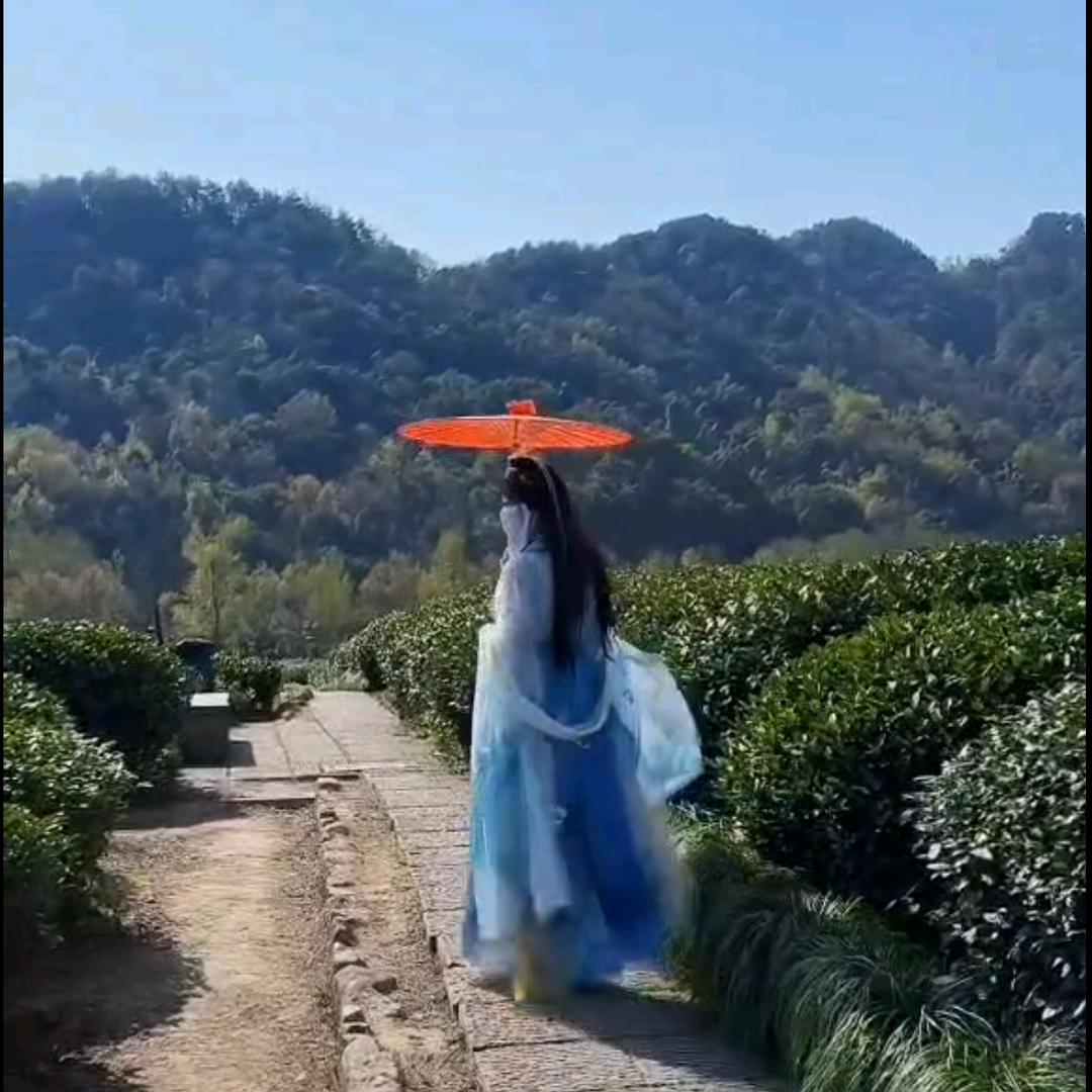 画中人