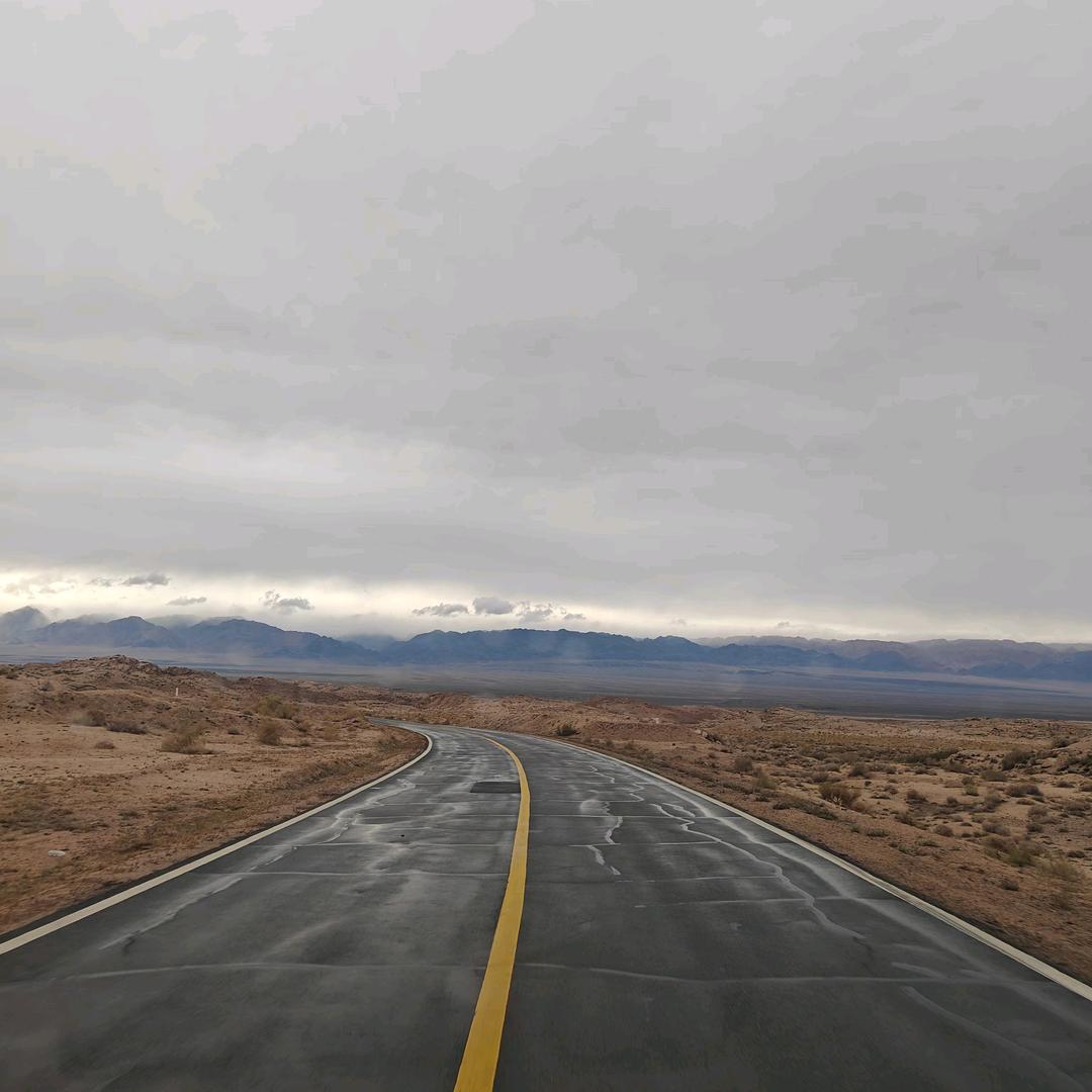 落雪飛鴻