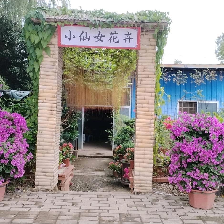 罗香生