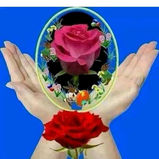 神奇的墨脱，是我的家乡