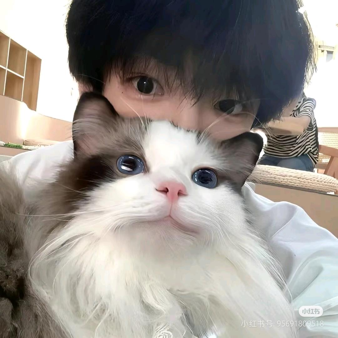 愿