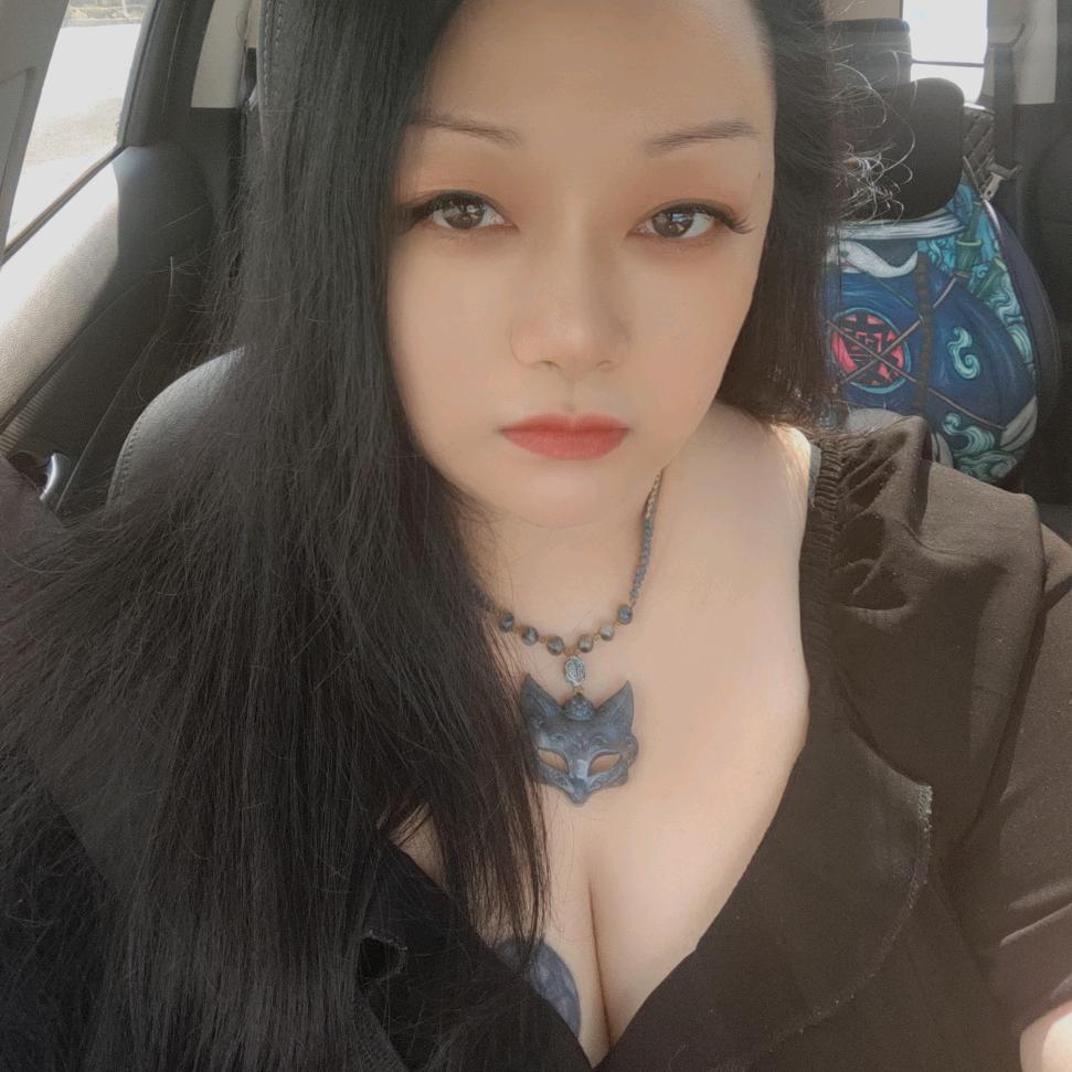 爱恺的狐狸