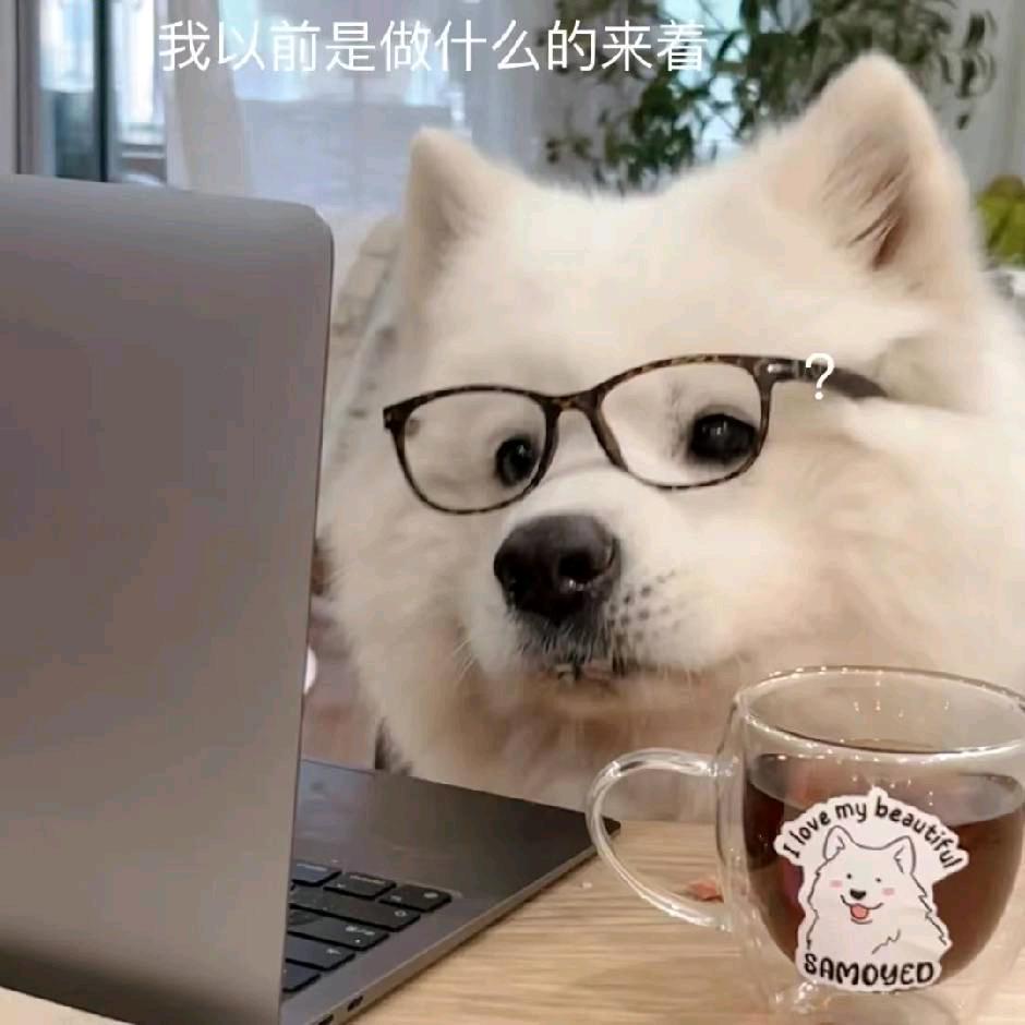 图图