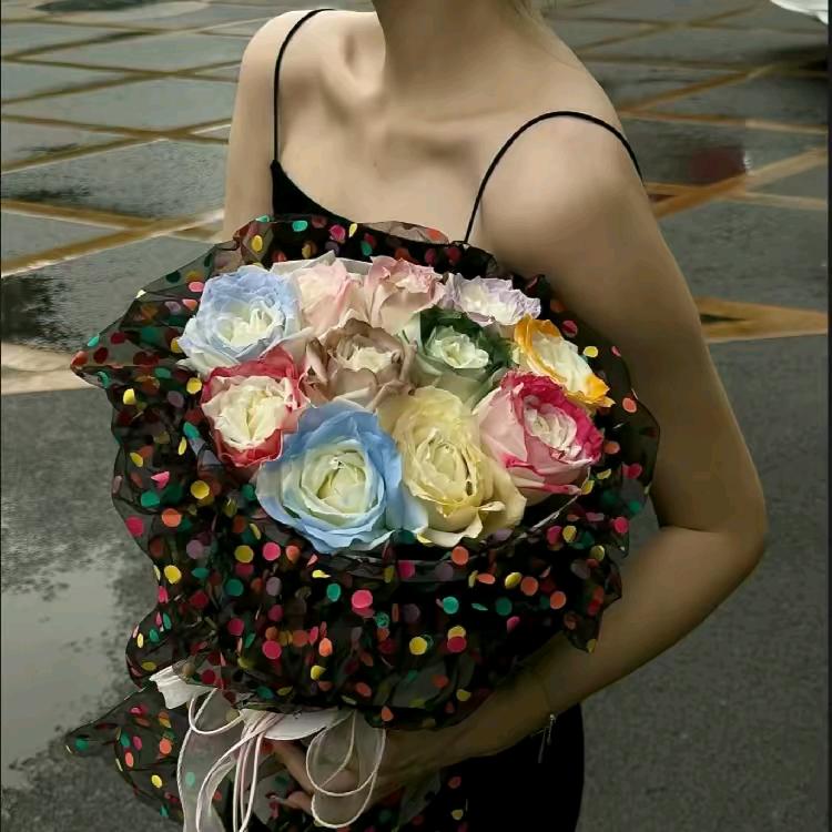 东北婆婆丁.