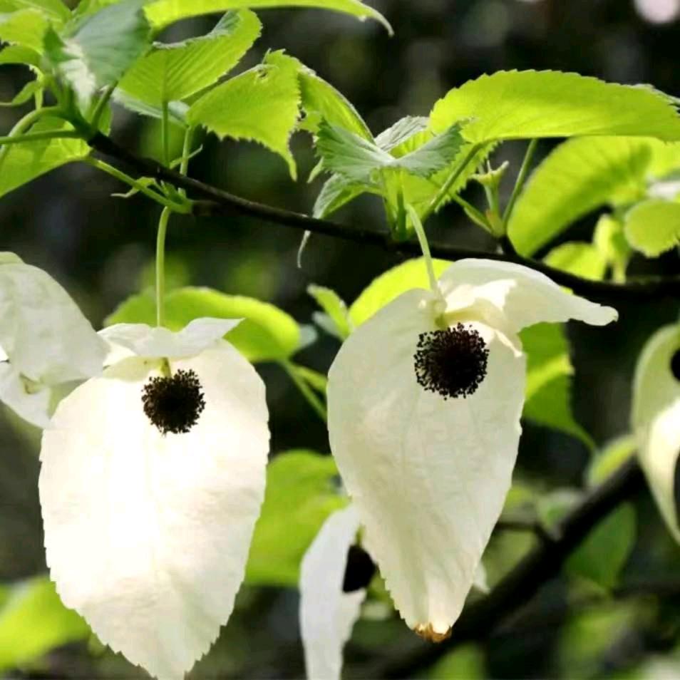 李老师谈教育
