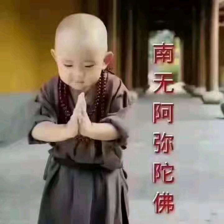 🐰弥🙏勒🙏佛🙏