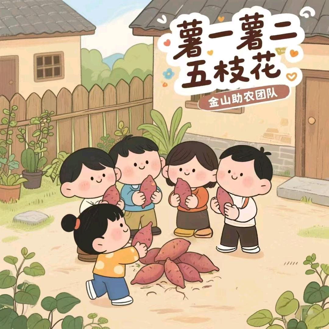 安徽文达-薯一薯二五枝花