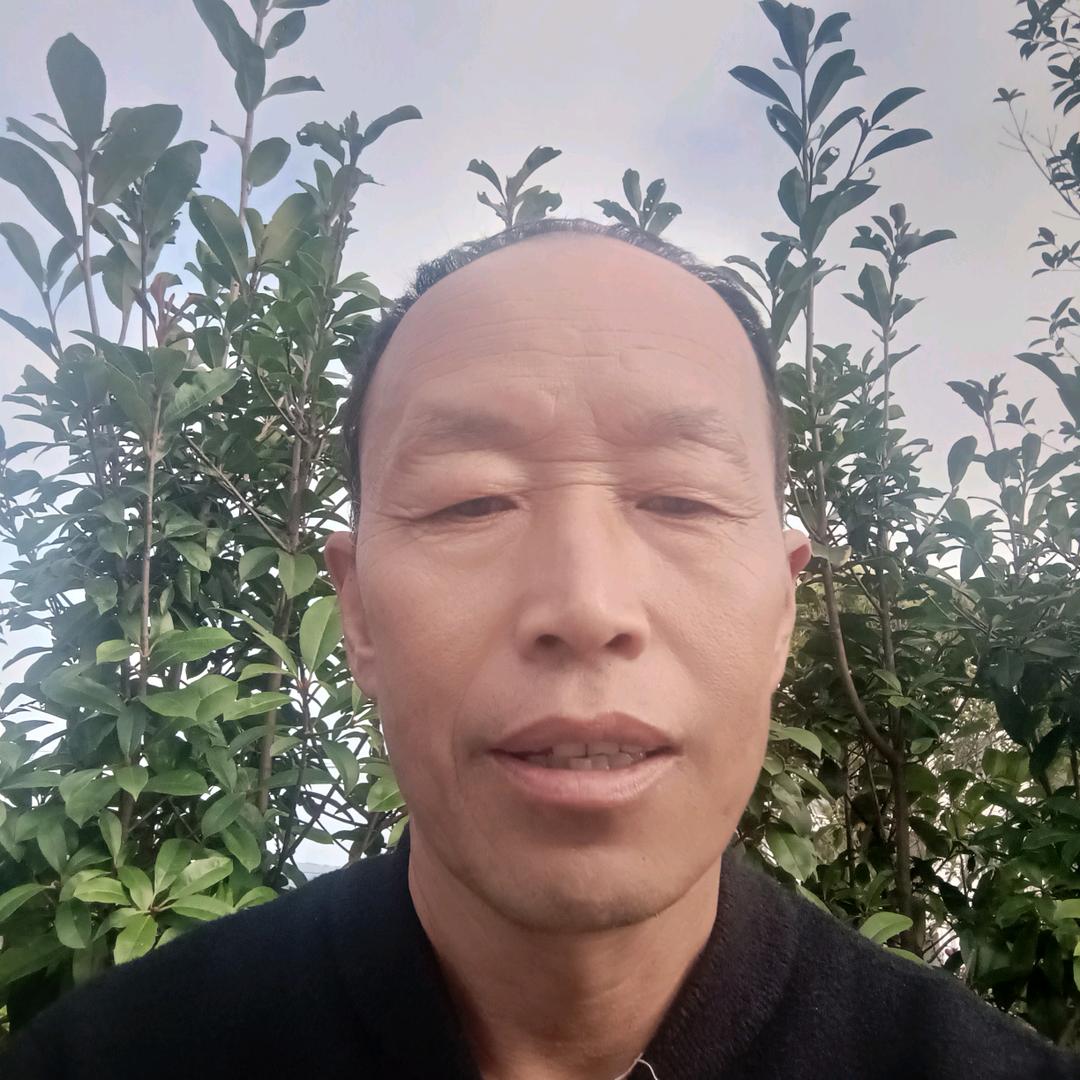 洪弟；12.38开播