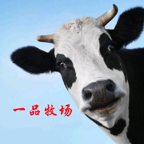 一品牧场（宿迁）