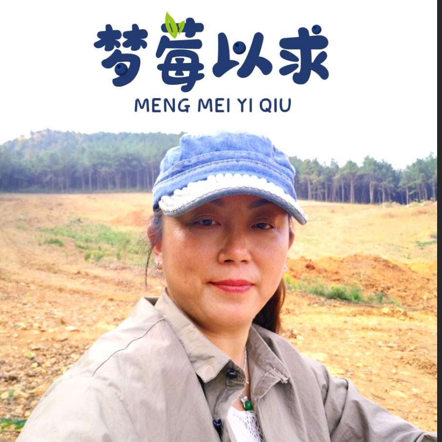 石坡蓝莓