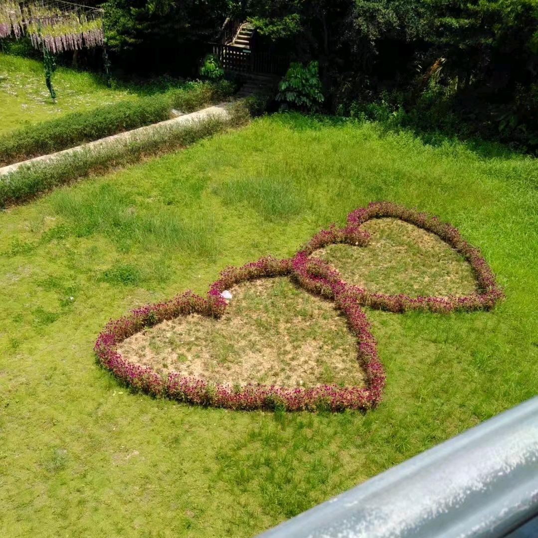 湖南私教驾校招生