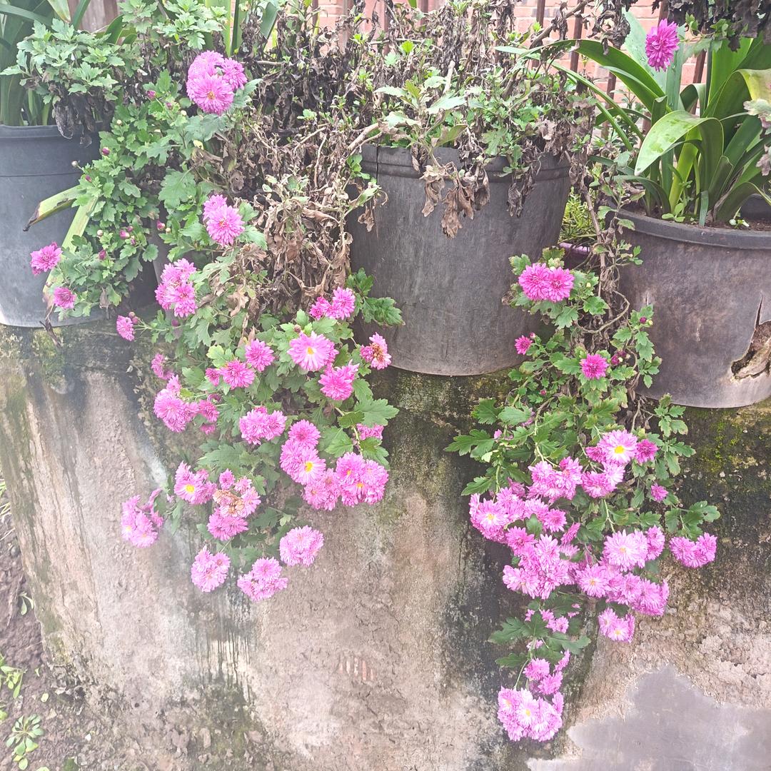 韩姐（生活号）