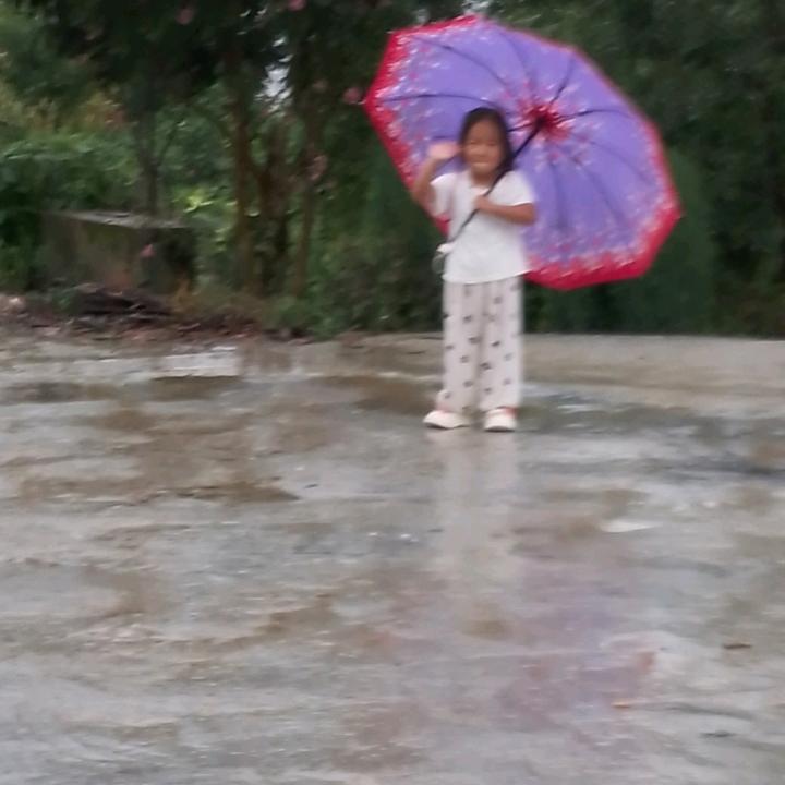 老向，