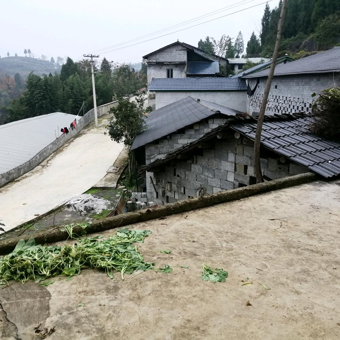 用户9530824201217