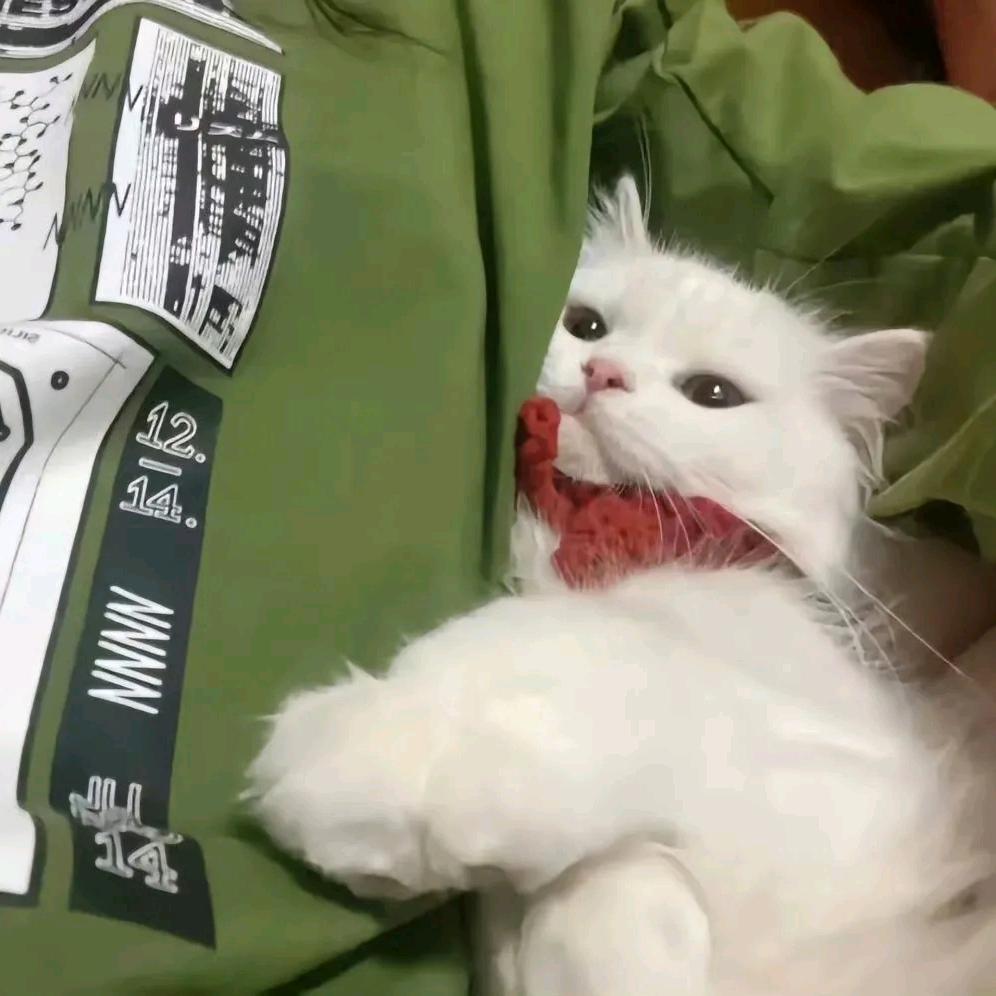 璟川