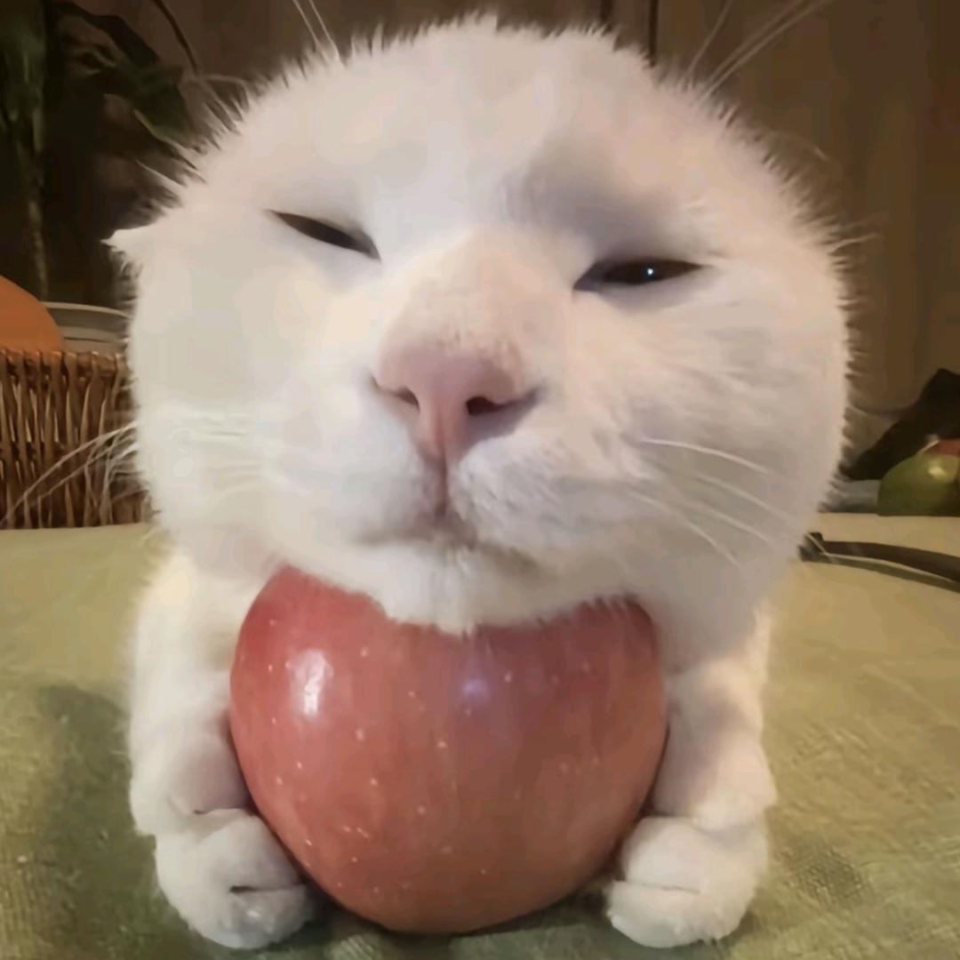 对方正在输入...