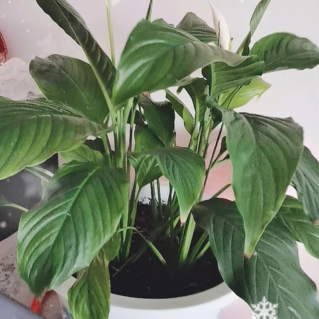 珍惜自已