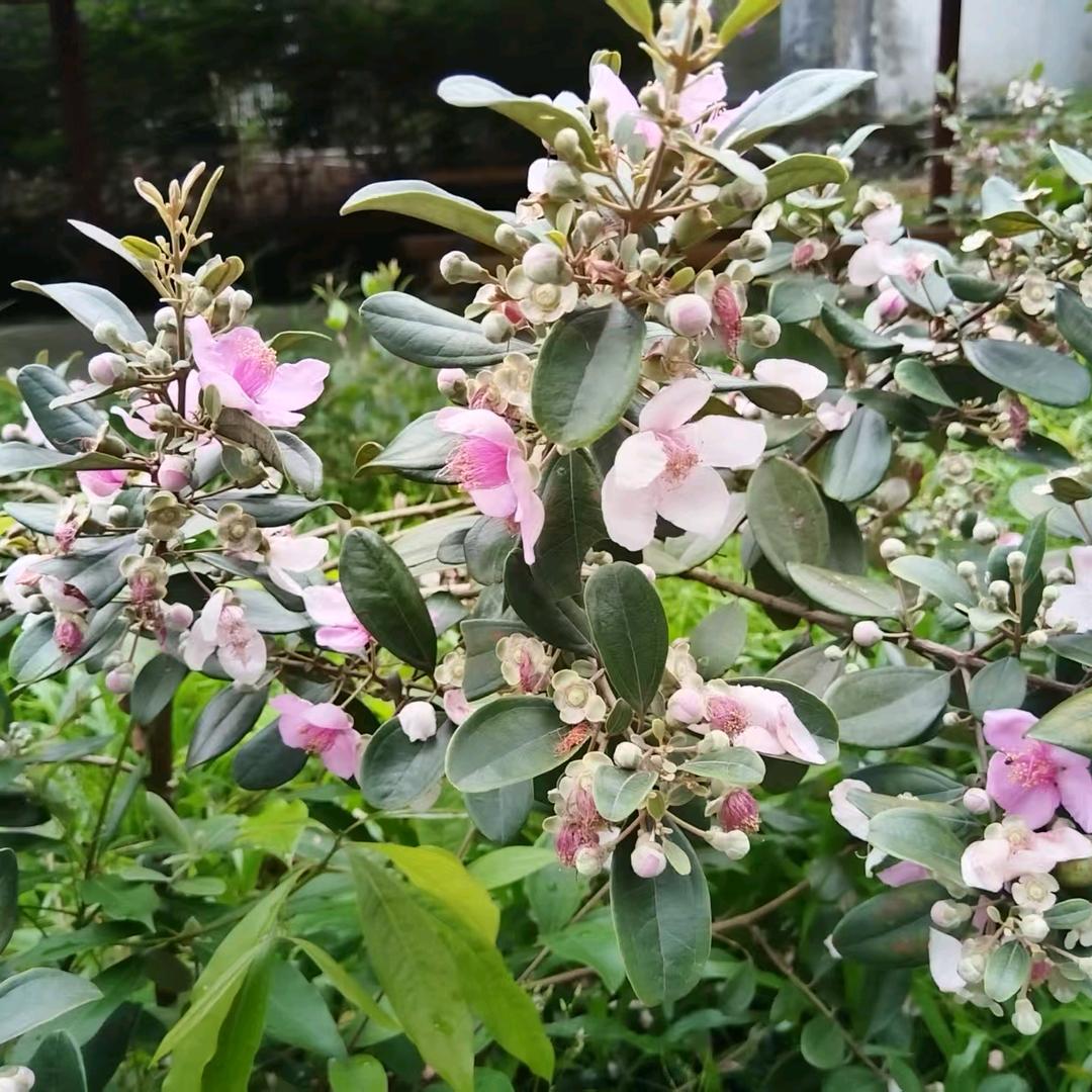 相识是缘份，且行且珍惜