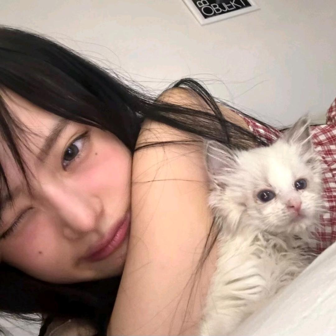 爱曲奇的me《已有闺》