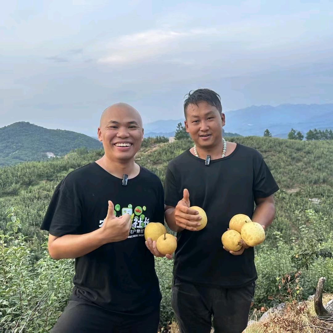 连州水晶梨