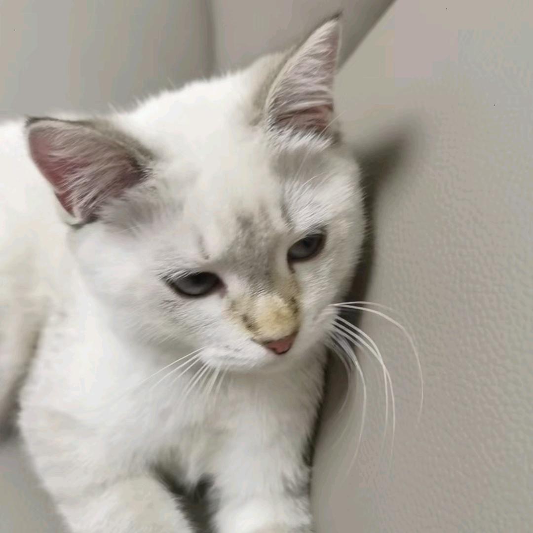 @💗᭄余生ᝰᩚ随心ꦿ໌: 💞: