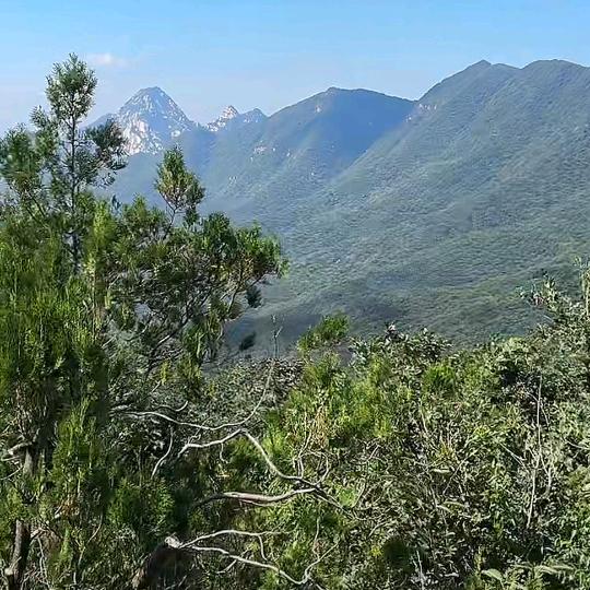 囍缘阁
