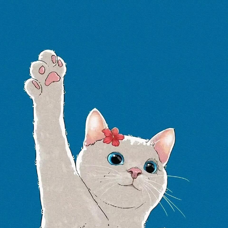 猫小小的救赎