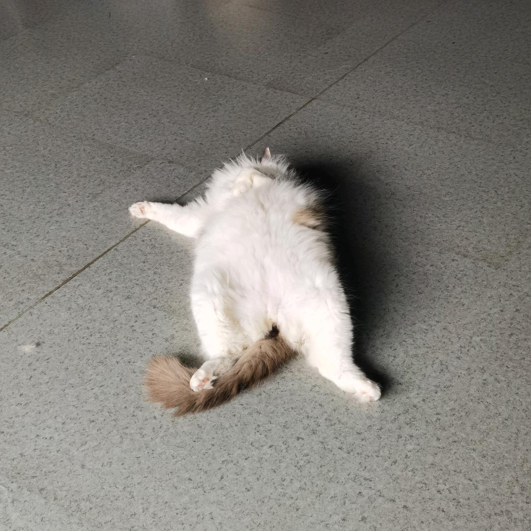 沐能低碳（工商业光伏）