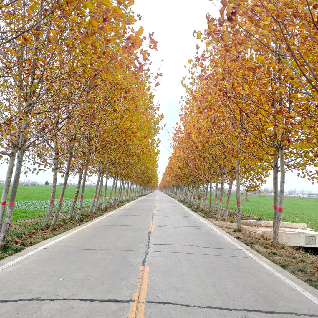 明日之星文化宫校区