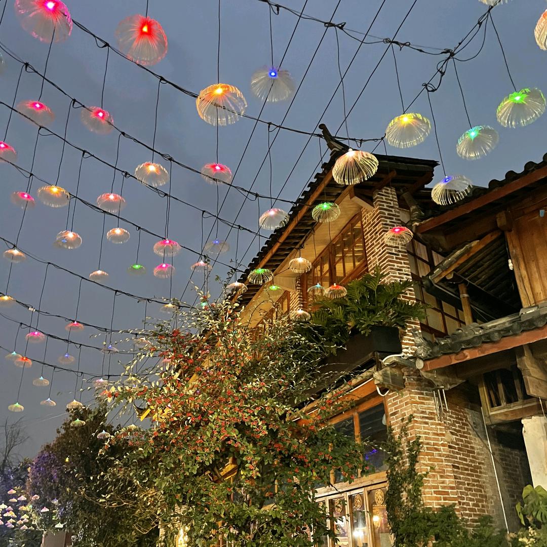 小阿迪（lele契约）