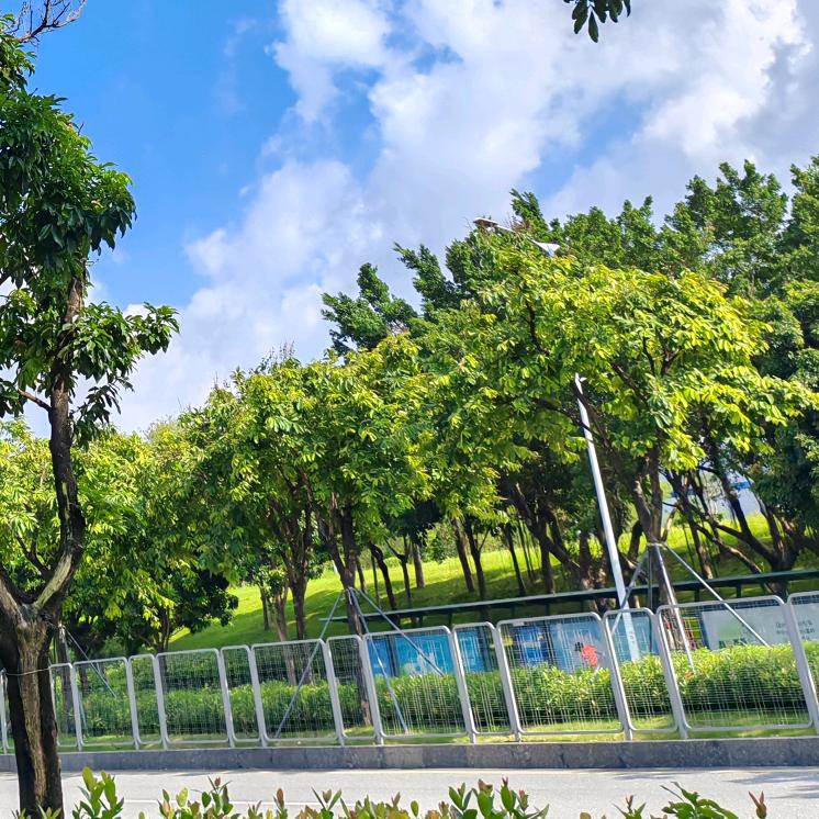 小C日记🌻