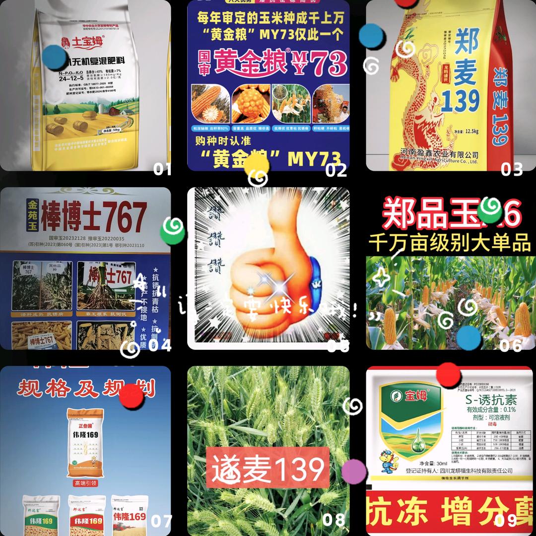 襄城县王文忠