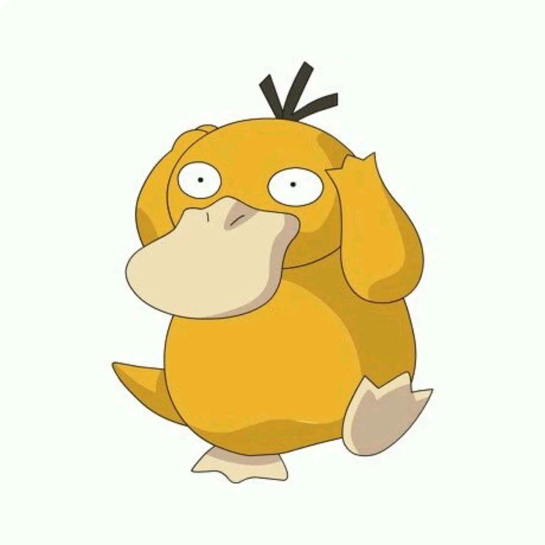 入帮送情缘