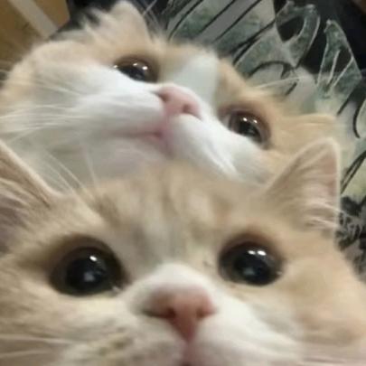 meiggg