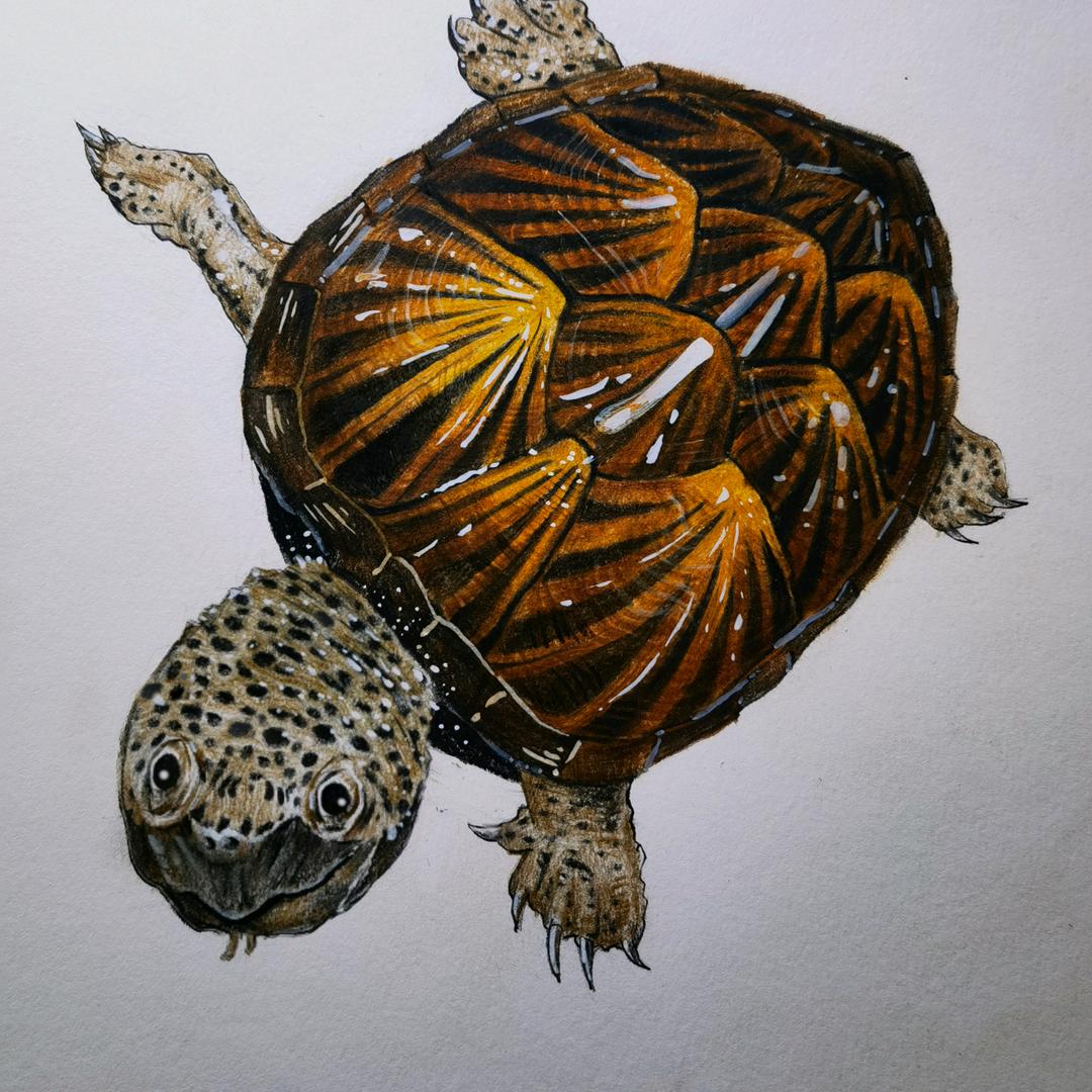 上海依宠小窝宠物优品店