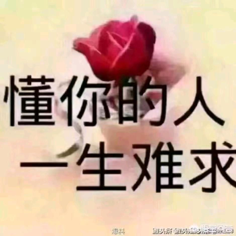 玉梅含笑意，金柳动哀情