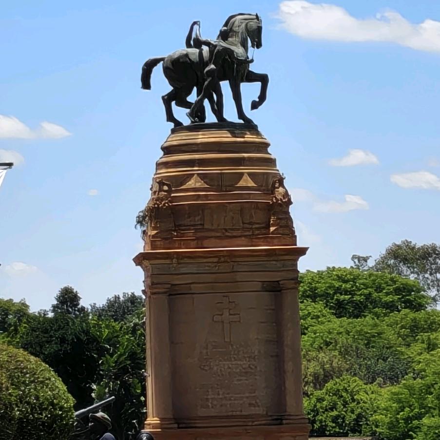 南非小陈日记🇿🇦