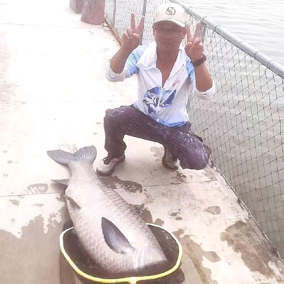 狼哥爱钓鱼