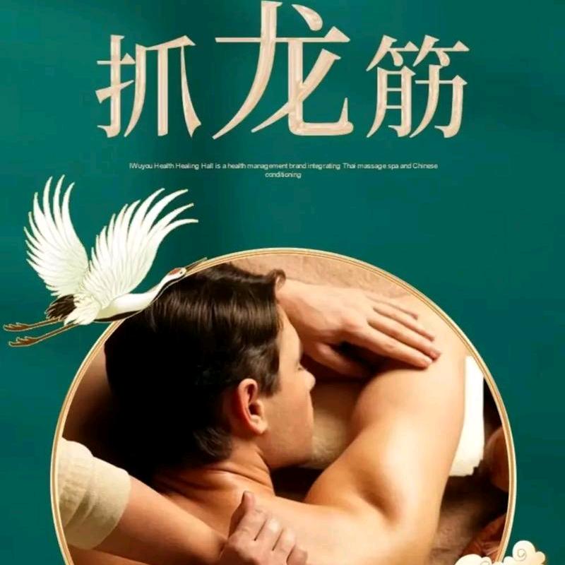 泰谷龙—杨扬吖