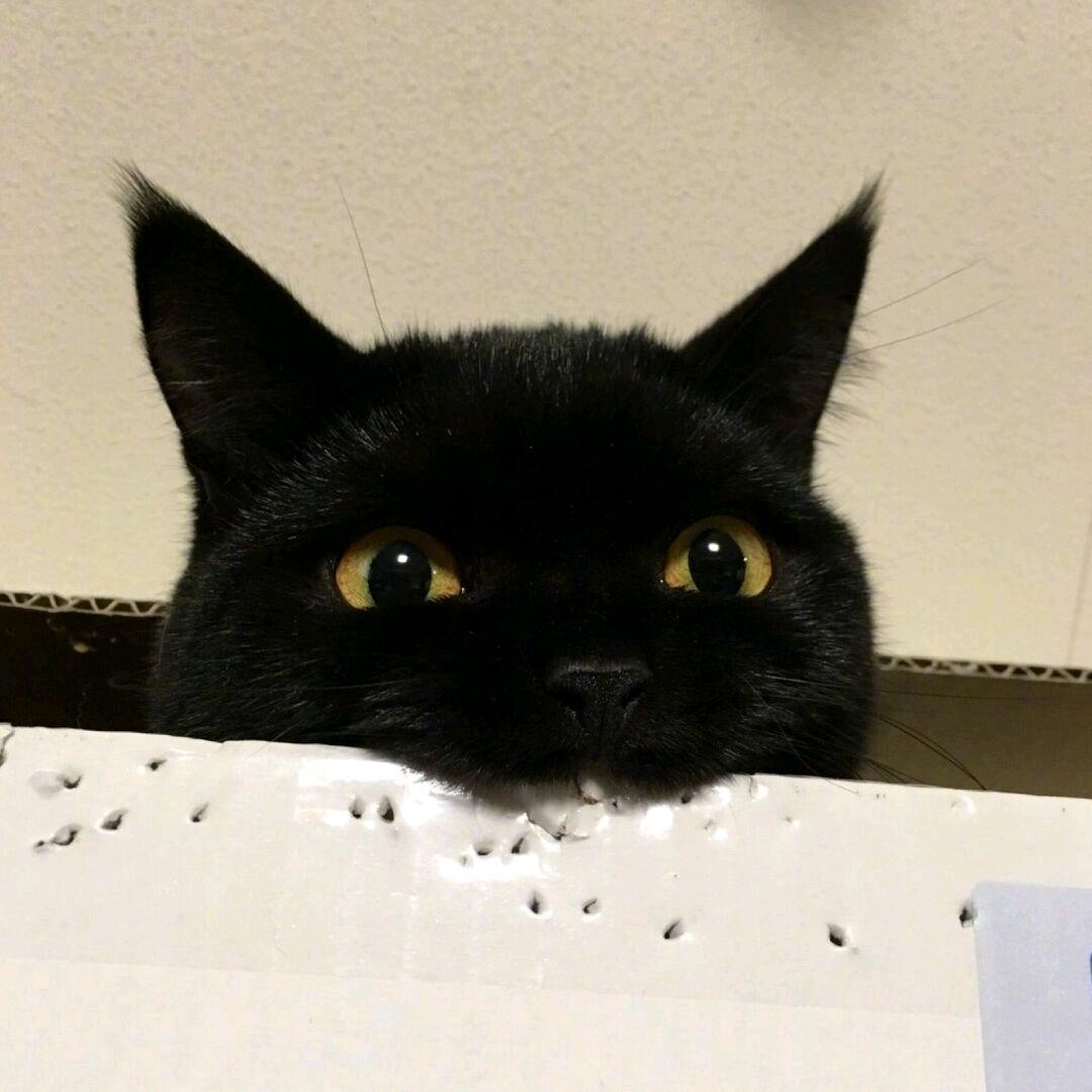 Yyy