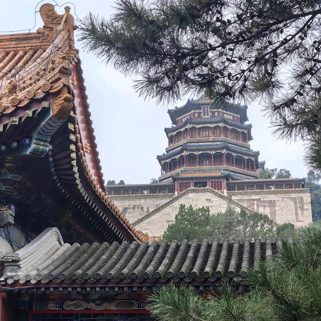 没事爱吃泡泡糖