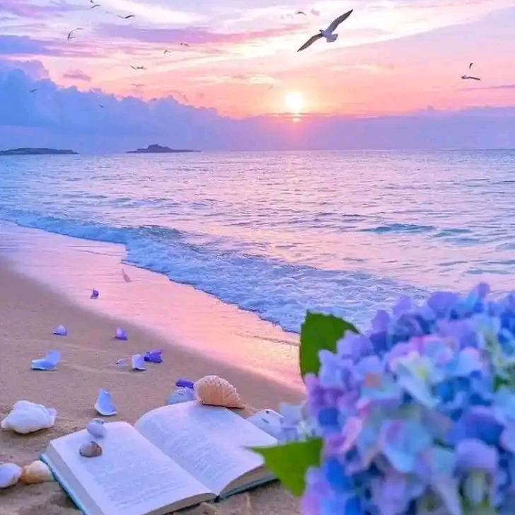 心若菩提（喜鹊姐）