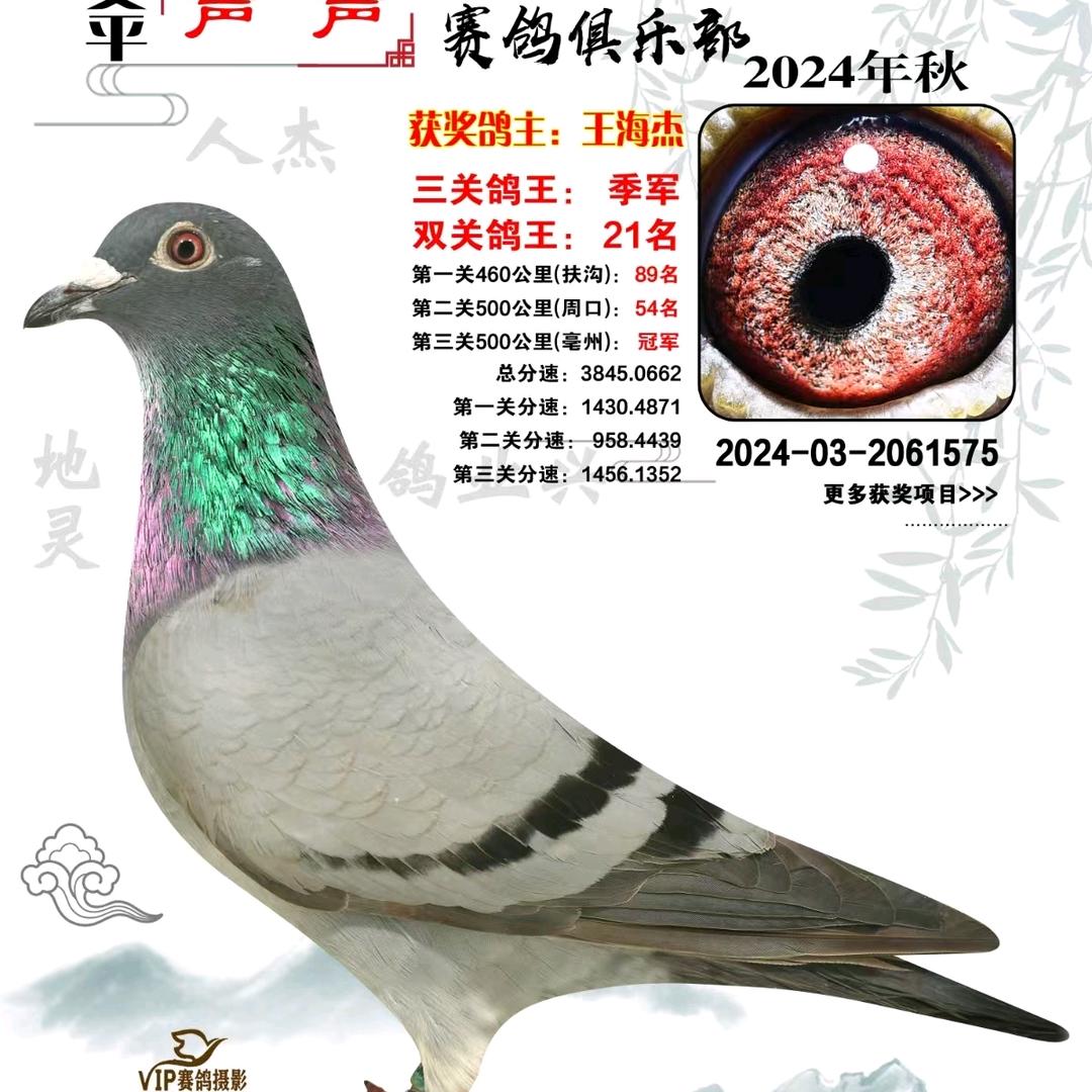 奔驰天下
