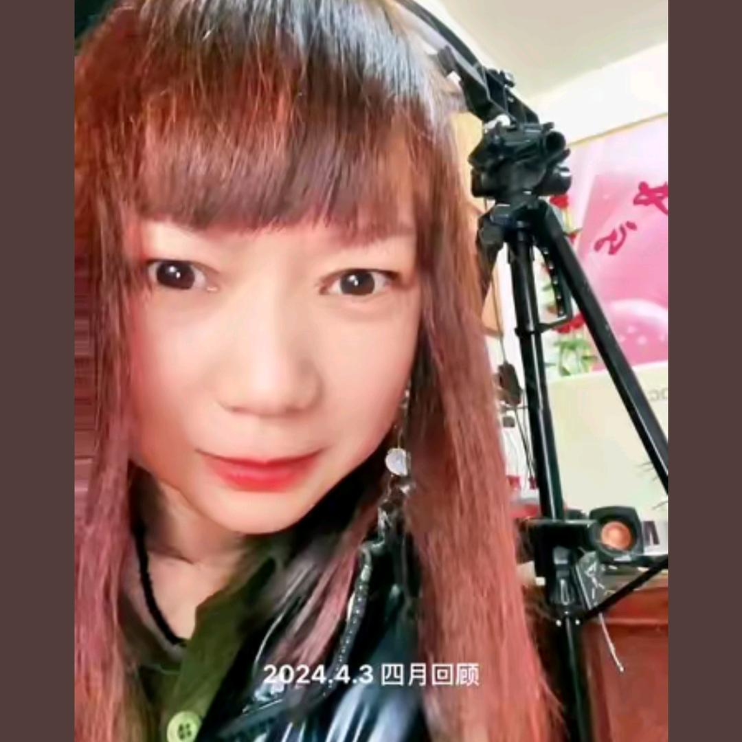 南阳梧桐树