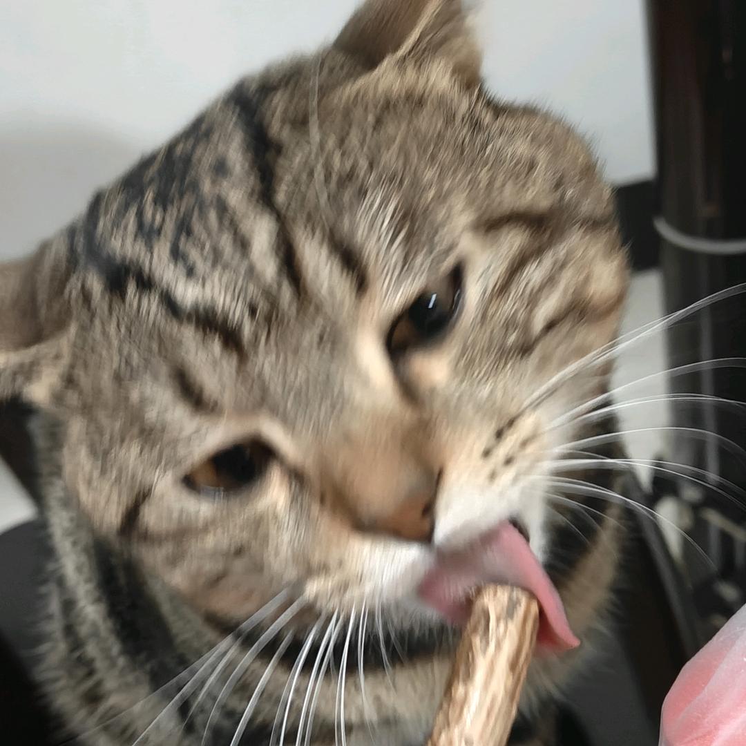大米