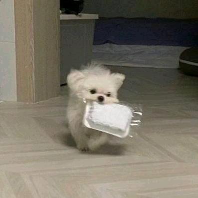 癒