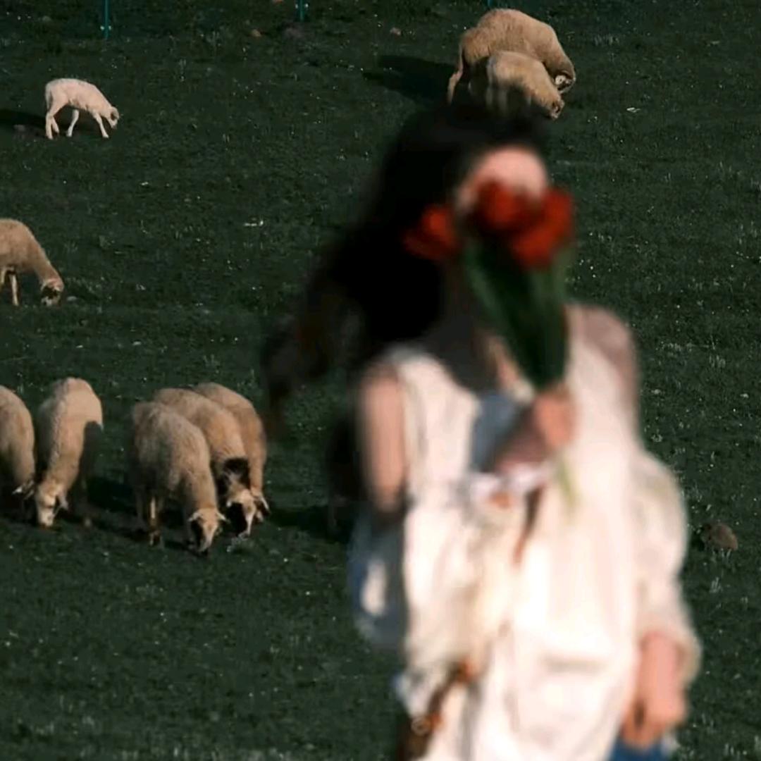 小韩爱吃🍉