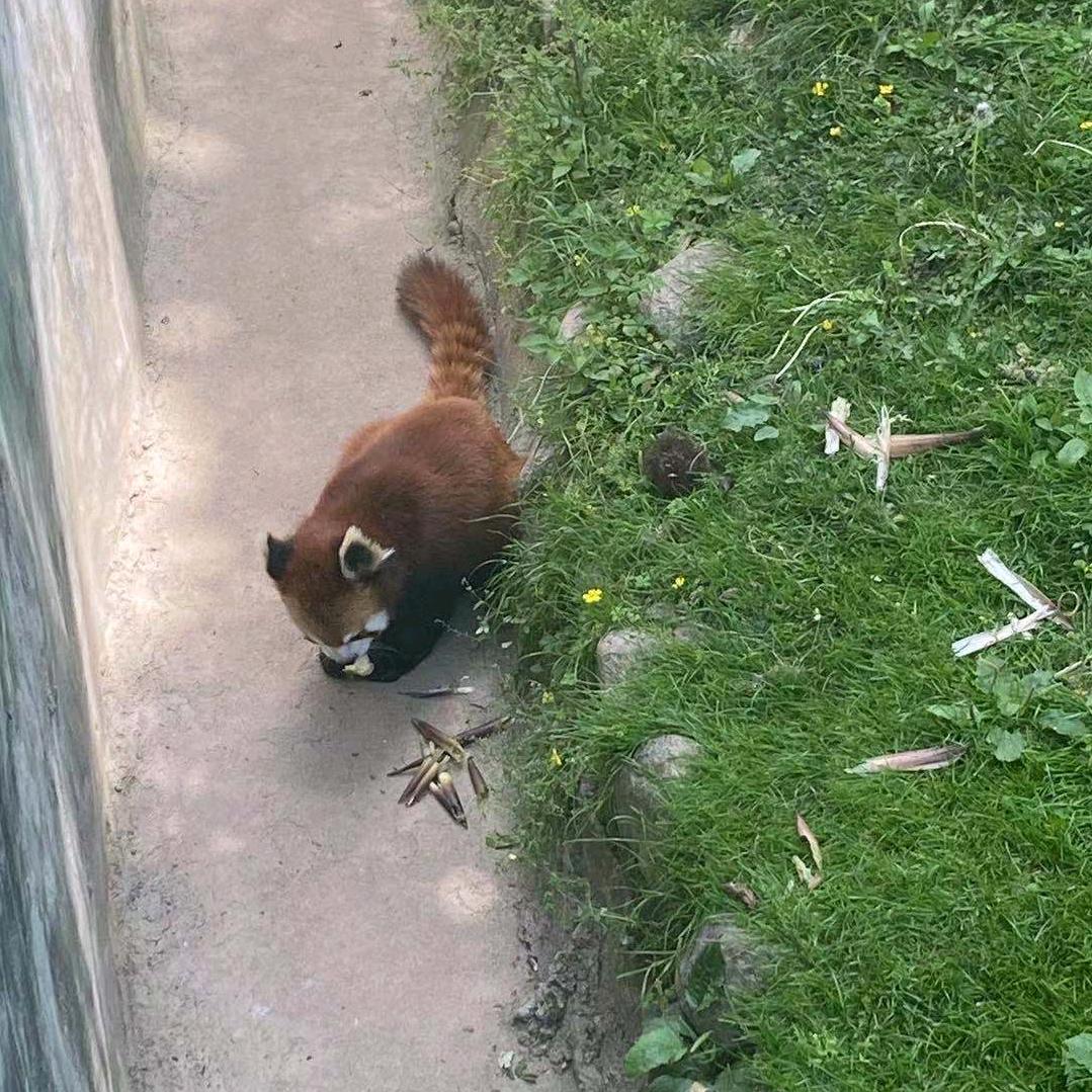 继续奔波